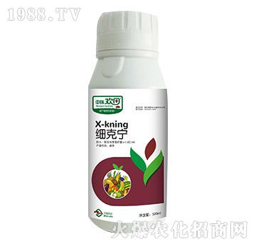 ���ˌ�-����g��-�������r(n��ng)