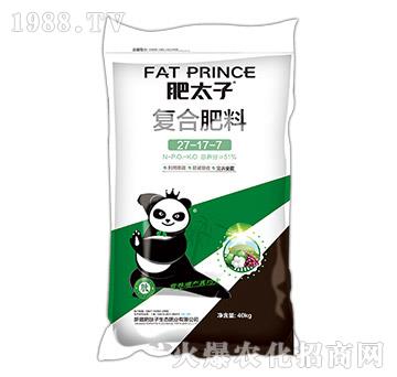 �ͺϷ���27-17-7-��̫��