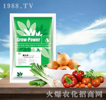 �����S12-5-40+Ca+TE