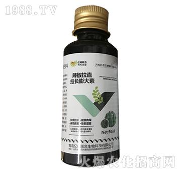 ������ֱ���L(zh��ng)�����-�R�Sֲ��