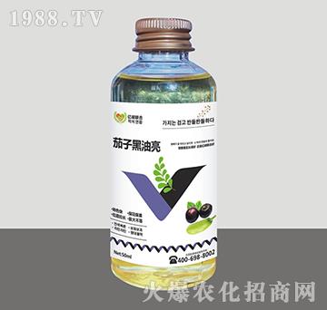 茄子黑油亮-匯豐植保