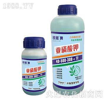 �����Ɓ������40-500-300+TE-��?t��ng)����? />
                                </div>
                            </div>
                            
                            <style type=