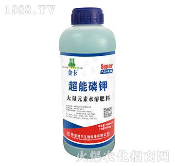 �������-��-� �����