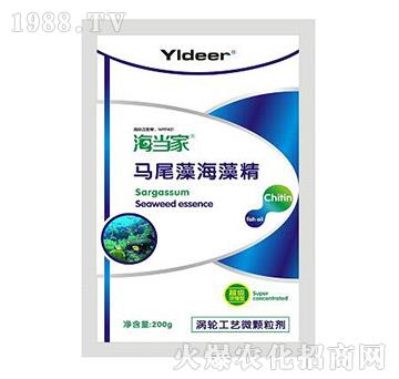 �Rβ�庣�徫-������-� �����