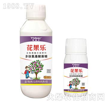 ���İ��������-������-� �����