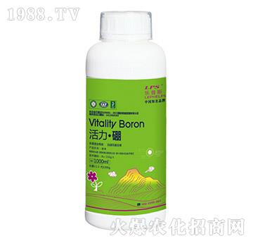 ��������-����ʩ-�Θ��ʘI(y��)