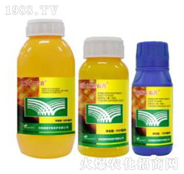 24%���ס�ݬȥ��-�˹���rϲ-�˹����