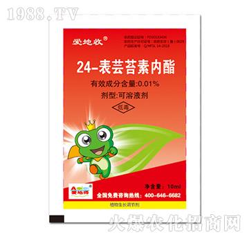 24-���|̦�؃�(n��i)��-�۵���-�۵���