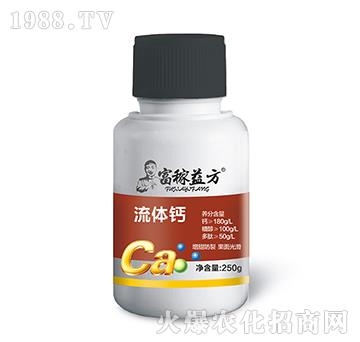 ���w�}-�����淽-�Gʿ��