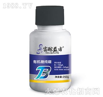 �ЙC(j��)�Ǽ���-�����淽-�Gʿ��