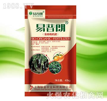 ������ϣ��w����-������-(li��n)�I(y��)�r(n��ng)�I(y��)