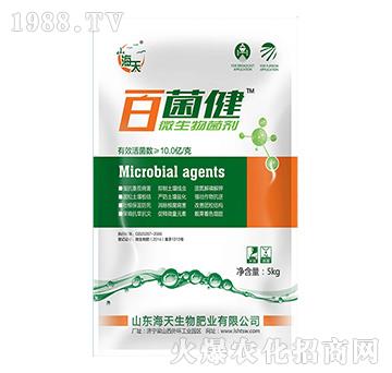 ΢�������-�پ���-��������