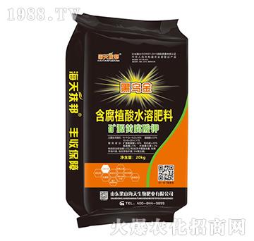 �VԴ�S�����-��������