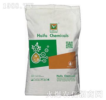 �����S-����