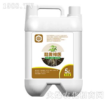 ���S���t(y��)�������������ã�-��ֲ(li��n)��