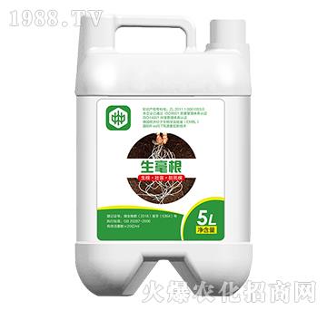 ������-��ֲ(li��n)��