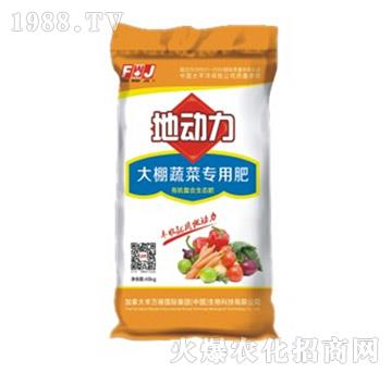 �����߲ˌ�(zhu��n)�÷�-�؄�(d��ng)��-�S�f(w��n)��