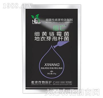 ��(x��)���Բ�����Ч�Ƅ�-��(x��)��-Ǭ�r(n��ng)