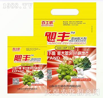 �K�o���-�Z�L(f��ng)-��ʿ��