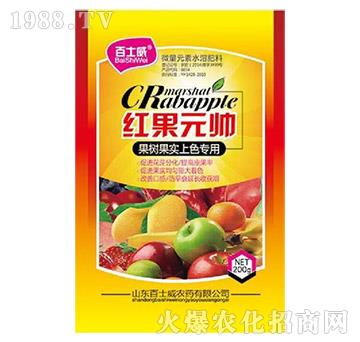 �t��Ԫ��-��ʿ��