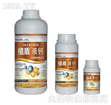 Һ�}-ֲ��-� �����