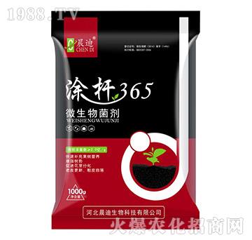 ΢�������-Ϳ�U365-��������