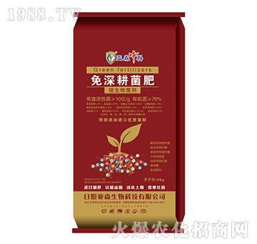 ���������-��ɭ����