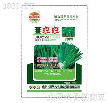 �²ˌ��þ�����-��@���S-���S�ʘI(y��)