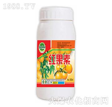 �t����-��@���S-���S�ʘI(y��)