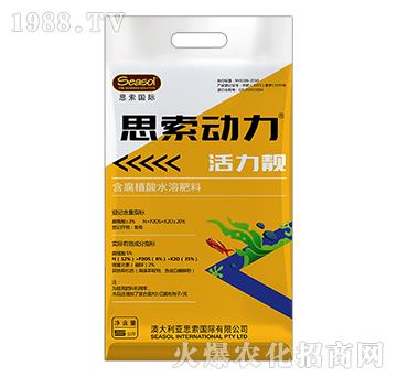 ˼����(d��ng)��-�����n-�����{(l��n)�_(d��)����