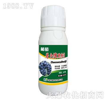 ������ɫ�ߺڄ�-���䌍(sh��)�I(y��)