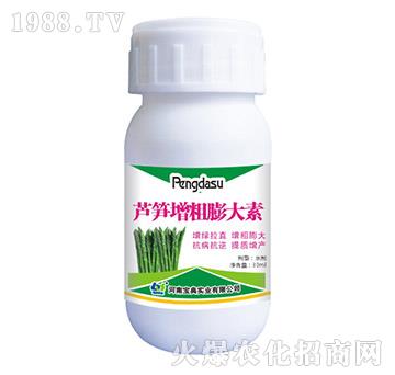 �J�S���������-���䌍(sh��)�I(y��)