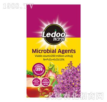 ΢�������-��ˇ��