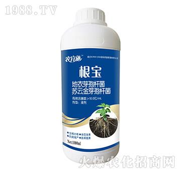 ����-�r��ʩ-��ķ�_