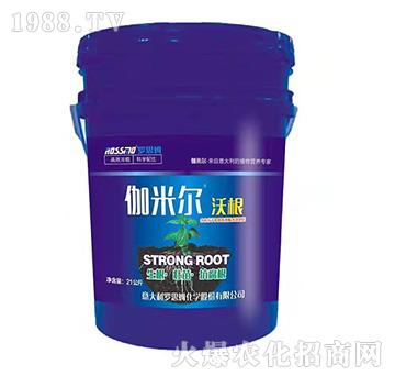 伽米爾沃根-羅思姆-木禾佳寶