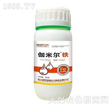 ٤�נ��F-�_˼ķ-ľ�̼ь�