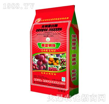 ���䌣���ЙC�o�C�ͻ����15-5-10-�������