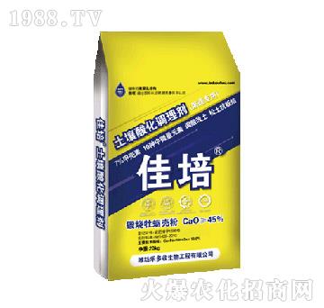 �����ữ�{(di��o)�턩-����-������