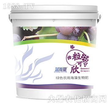 ������-�{����