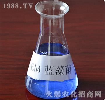 EM藍藻菌-廣元生物