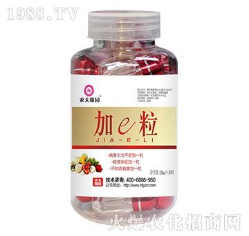 ��e��������΢���������-�r��ڈ@