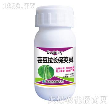 �|�����L���v�`-���䌍(sh��)�I(y��)