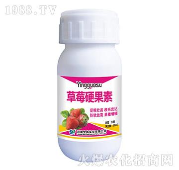 ��ݮӲ����-���䌍(sh��)�I(y��)