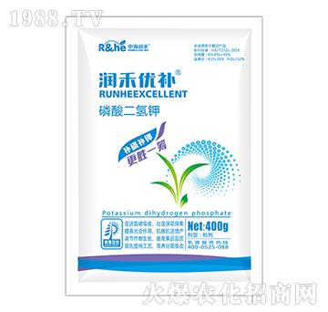 ��������-���̃�(y��u)�a-�к�����