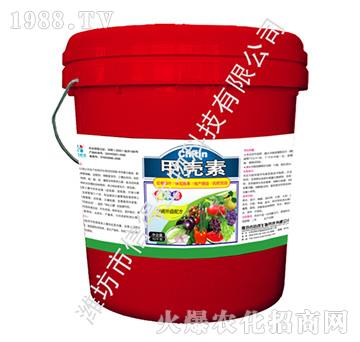 ����s�ך���-�ŵ�