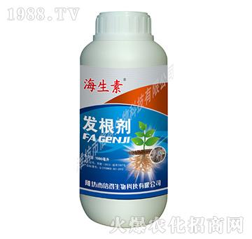 ������-������-�ŵ�