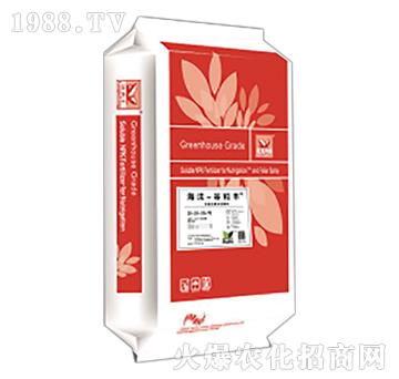 ���������S-����