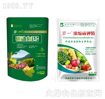 ̼����1̖�ײ�-��һ-�̄�����