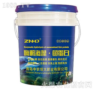 酶解海藻·魚(yú)蛋白-中農(nóng)恒大