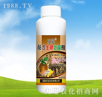 �����������焩-ֲ��-�S�r�r��